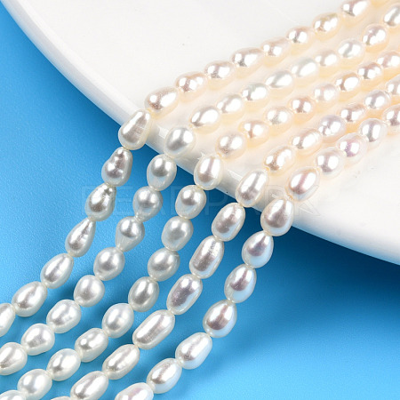 Natural Cultured Freshwater Pearl Beads Strands PEAR-N012-04G-1