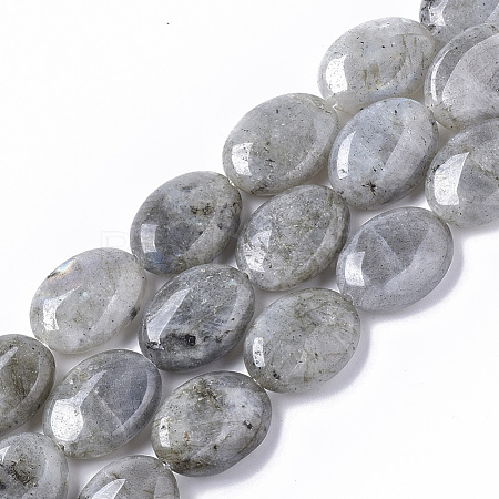 Natural Labradorite Beads Strands X-G-S359-001B-1