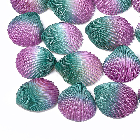 Spray Paint Natural Ark Shell Beads SSHEL-S261-03A-1
