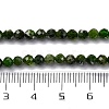 Natural Diopside Beads Strands G-G188-B14-02-5