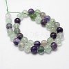 Natural Fluorite Bead Strands G-G735-24-10mm-AB+-2