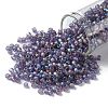 TOHO 8/0 Round Beads X-SEED-TR08-0166DF-1