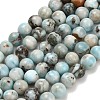 Natural Larimar Beads Strands G-L642-B19-6mm-2