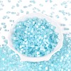 Drawbench Style Glass Seed Beads SEED-N008-10F-2