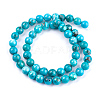 Natural Magnesite Beads Strands TURQ-F010-02-2