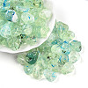 Transparent Acrylic Beads TACR-T028-44I-1