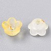 Frosted Transparent Acrylic Beads LS-X-OACR-N137-72G-3