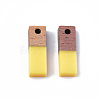 Resin & Wood Pendants X-RESI-S358-19A-2