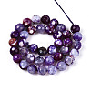 Dyed & Heated Natural Fire Crackle Agate Beads Strands G-N359-01B-07-3