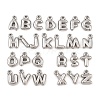 304 Stainless Steel Pendants STAS-S186-12-P01-1