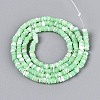 Natural Trochid Shell/Trochus Shell Beads Strands SSHEL-N040-21C-2