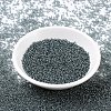 MIYUKI Round Rocailles Beads X-SEED-G007-RR0178-2