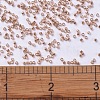 MIYUKI Delica Beads X-SEED-J020-DB0434-4