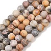Natural Crazy Lace Agate Beads Strands G-Q462-10mm-12-2