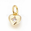 Brass Micro Pave Cubic Zirconia Charms X-ZIRC-F095-04G-1