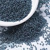 MIYUKI Round Rocailles Beads SEED-X0054-RR0314-1