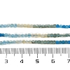 Natural Blue Green Yellow Apatite Beads Strands G-NH0050-B01-01-6