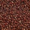 TOHO 8/0 Round Beads X-SEED-TR08-1708-3