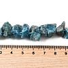 Natural Apatite Beads Strands G-I283-F23-5