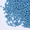 Glass Cylinder Beads SEED-Q036-01A-D06-3