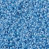 MIYUKI Round Rocailles Beads SEED-JP0010-RR0221-3
