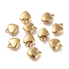 304 Stainless Steel Charms STAS-G236-01G-B-1