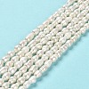 Natural Cultured Freshwater Pearl Beads Strands PEAR-E016-152-2