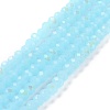 Electroplate Glass Beads Strands EGLA-A034-J8mm-L06-1