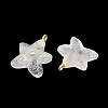 Natural Quartz Crystal Pendants G-H353-01G-02-2