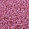 MIYUKI Round Rocailles Beads SEED-JP0008-RR0556-3