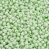 8/0 Opaque Glass Seed Beads SEED-S048-N-009-3