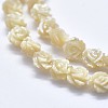 Shell Bead Strands SSHEL-P015-01B-6mm-3