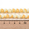 Baking Paint Glass Beads Strands DGLA-N012-8mm-03-4