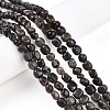 Natural Biotite Beads Strands G-N346-04A-02-1