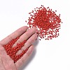 12/0 Glass Seed Beads SEED-US0003-2mm-45-4