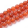 Natural Agate Beads Strands G-I261-B04-6mm-1