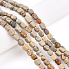 Natural Shoushan Stone Beads Strands G-N346-04A-07-1