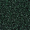 MIYUKI Round Rocailles Beads SEED-JP0008-RR0156-3