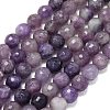 Natural Lepidolite/Purple Mica Beads Strands G-B165-A11-6mm-2