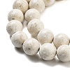Natural Fossil Beads Strands G-H026-02C-4