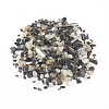 Natural Freshwater Shell Beads X-BSHE-I011-03A-1