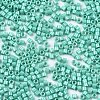 11/0 Grade A Baking Paint Glass Seed Beads SEED-S030-1038-2