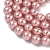Electroplated Shell Pearl Beads Strands X-BSHE-G041-8mm-05-3
