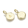 26Pcs Alloy Pendants PALLOY-N157-004-NR-4
