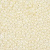 Baking Paint Glass Seed Beads SEED-L011-09A-17-3