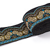 Ethnic Style Embroidery Polyester Ribbons SK-TAC0001-02-2