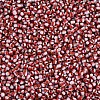 8/0 Glass Seed Beads SEED-S006-32-3