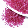 Glass Seed Beads X-SEED-S042-11A-02-1
