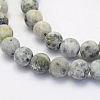 Natural Crazy Agate Beads Strands X-G-G707-8mm-B12-3