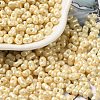 Baking Paint Glass Seed Beads SEED-K009-01A-03-1